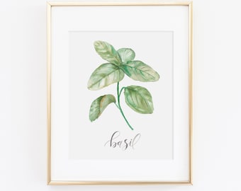 Basil Herb Watercolor Print | Watercolor Herb Print Set | Watercolor Herb Painting | Basil Artwork | Watercolor Herb Kitchen Decor