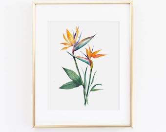 Bird of Paradise Watercolor Print | Watercolor Tropical Print | Watercolor Bird of Paradise Painting | Watercolor Tropical Home Decor