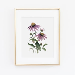 Watercolor Coneflower Wall Art | Watercolor Echinacea Painting | Floral Painting | Watercolor Floral Print | Floral Wall Art | Gift for Her