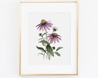 Watercolor Coneflower Wall Art | Watercolor Echinacea Painting | Floral Painting | Watercolor Floral Print | Floral Wall Art | Gift for Her