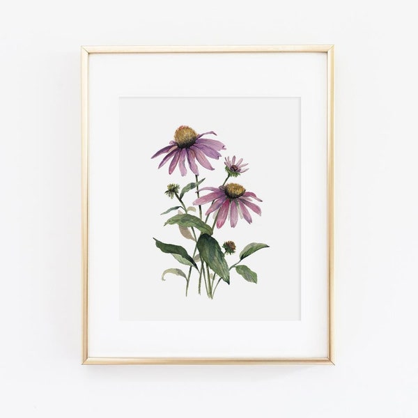 Aquarell Sonnenhut Wandkunst | Aquarell Echinacea Gemälde | Blumenbild | Aquarell Blumendruck | Blumen Wandkunst | Geschenk für Sie