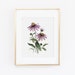 see more listings in the BOTANICAL COLLECTION section