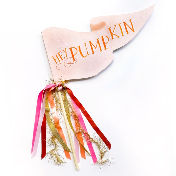 Hey Pumpkin Party Pennant | Thanksgiving Pennant | Fall Party Pennant | Thanksgiving Party Decor | Pinksgiving | Fall Party Decor