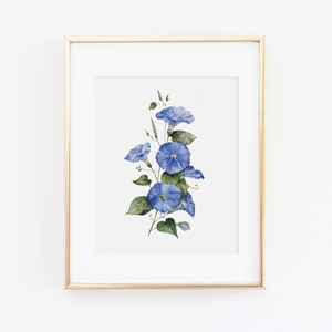Aquarelle Morning Glory Floral Art Print | Peinture de gloire du matin | Aquarelle florale | Fleur aquarelle