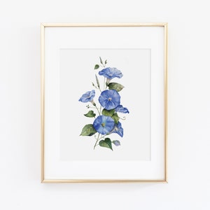 Watercolor Morning Glory Floral Art Print | Morning Glory Painting | Watercolor Floral | Watercolor Flower