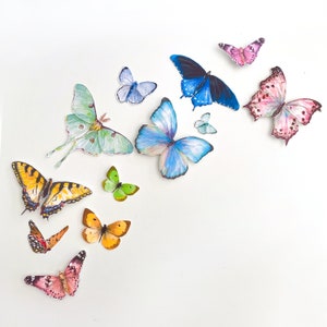 Rainbow Butterfly Confetti Die-Cuts | Party Punchies | Die Cut Butterflies | Colorful Party Decor | Butterfly Party Goods | Birthday Party