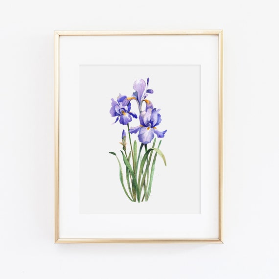 Watercolor Iris Wall Art | Iris Art Print | Iris Painting | Watercolor Floral Wall Art | Botanical Print Set | Tennessee State Flower