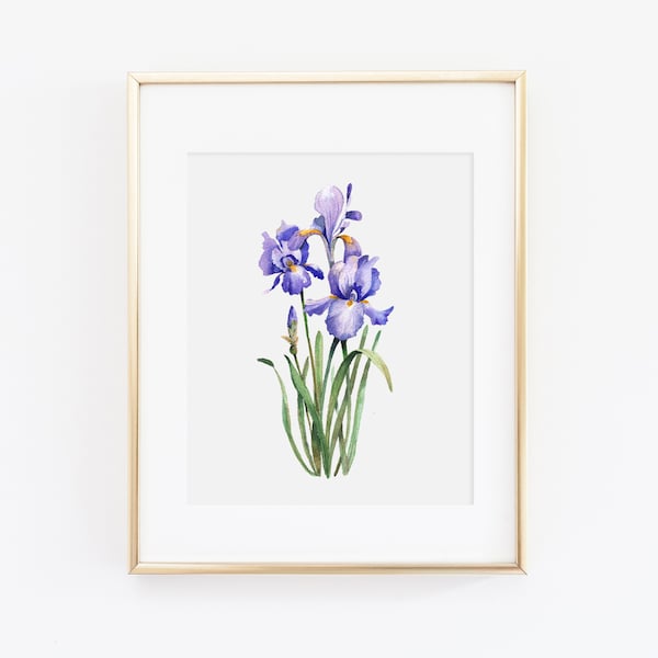 Art mural Iris aquarelle | Impression d'art d'iris | Iris Peinture | Art mural floral aquarelle | Ensemble d'impression botanique | Fleur de l'État du Tennessee
