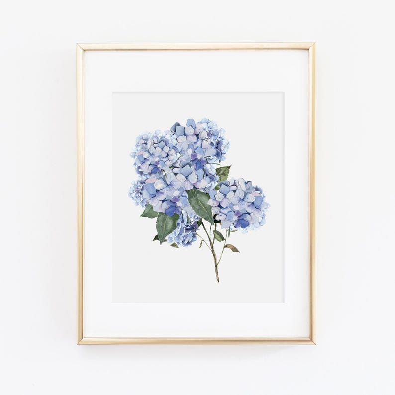 Blue Hydrangea Watercolor Art Print | Watercolor Hydrangea Wall Art | Hydrangea Botanical Art Print | Blue Floral Art Print image 1
