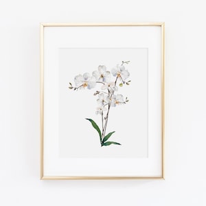 Orchid Watercolor Print | Watercolor Orchid Wall Art | White Flower Wall Art | Watercolor Floral Art Print | Orchid Decor | White Floral