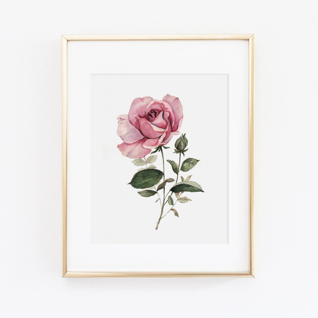 Watercolor Rose Print | Watercolor Pink Rose Painting | Rose Floral ...