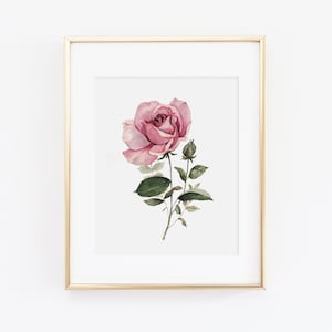 Watercolor Rose Print | Watercolor Pink Rose Painting | Rose Floral Painting | Watercolor Floral Print | Floral Wall Art | Gift for Her