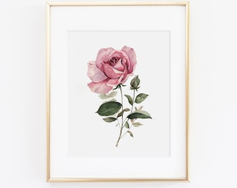 Watercolor Rose Print | Watercolor Pink Rose Painting | Rose Floral Painting | Watercolor Floral Print | Floral Wall Art | Gift for Her