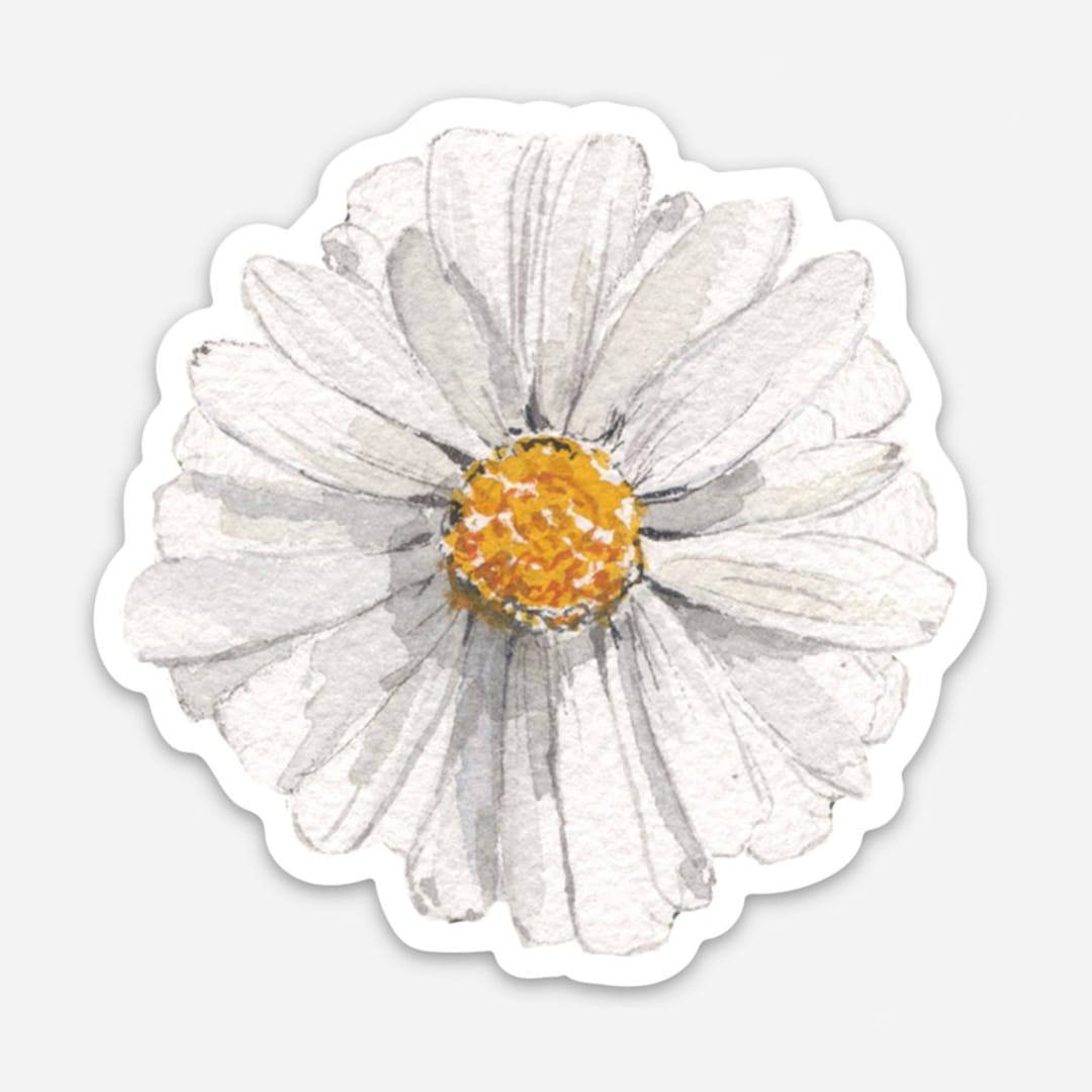 Watercolor Daisy Sticker Daisy Vinyl Sticker White Flower Sticker
