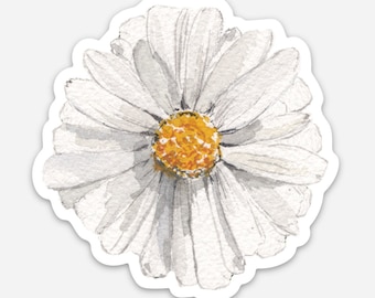 Op de afbeelding: Een witte madeliefje met een gele kern, geschilderd in aquarelstijl.