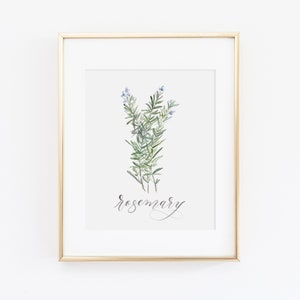 Rosemary Herb Watercolor Print | Watercolor Herb Print Set | Watercolor Herb Painting | Rosemary Artwork | Watercolor Herb Kitchen Decor