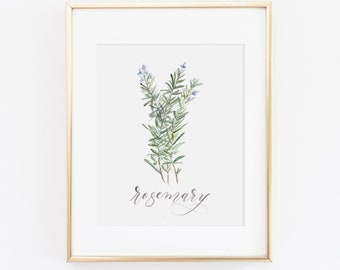 Rosemary Herb Watercolor Print | Watercolor Herb Print Set | Watercolor Herb Painting | Rosemary Artwork | Watercolor Herb Kitchen Decor