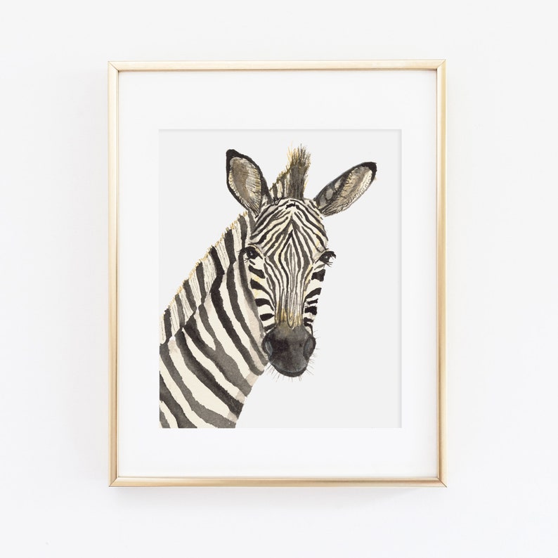 Watercolor Zebra Painting Watercolor Zebra Print Watercolor Safari Animal Nursery Decor Zebra Art Baby Zebra Safari Nursery image 1