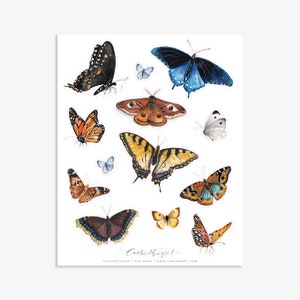 Watercolor Butterfly Sticker Sheet | Butterfly Stickers | Watercolor Sticker Set | Butterfly Sticker Set | Realistic Butterfly Stickers