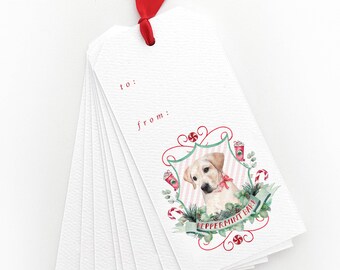 Peppermint Bark Holiday Gift Tags, Christmas Gift Tags, Labrador Christmas, Holiday Gift Tags