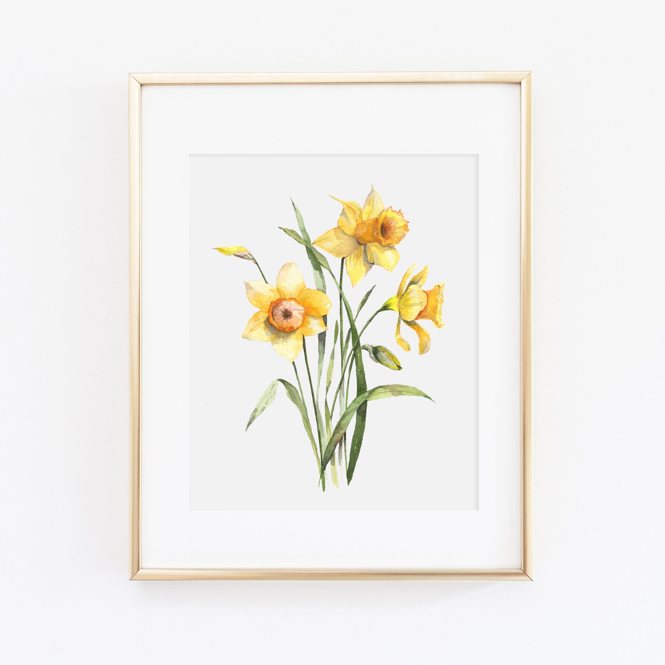 水仙の花の水彩画プリント | 水仙のアートプリント | 水仙の絵画