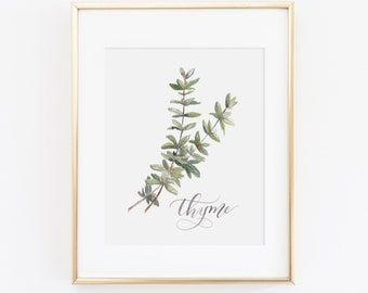 Thyme Herb Watercolor Print | Watercolor Herb Print Set | Watercolor Herb Painting | Thyme Artwork | Watercolor Herb Kitchen Decor