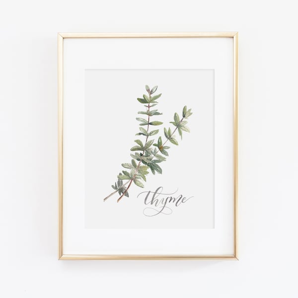 Thyme Herb Watercolor Print | Watercolor Herb Print Set | Watercolor Herb Painting | Thyme Artwork | Watercolor Herb Kitchen Decor