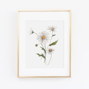 Daisies Watercolor Print | Watercolor Daisies Print Set | Watercolor Daisy Painting | Daisies Artwork | Watercolor Daisies Kitchen Decor