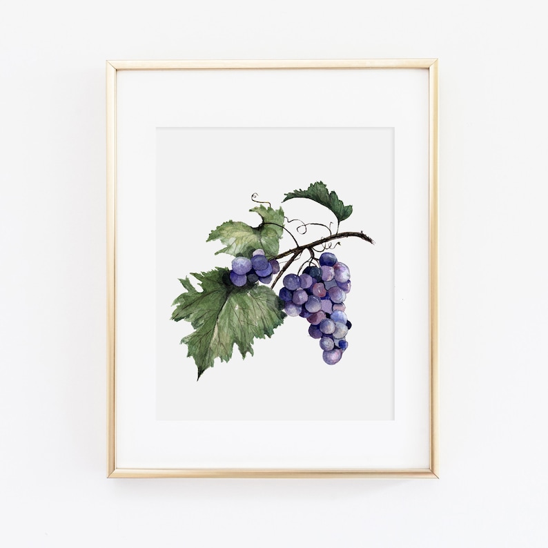 Watercolor Fruit Painting Grapes Watercolor Print Purple Grapes Artwork Watercolor Fruit Kitchen Decor Watercolor Fruit Print Set