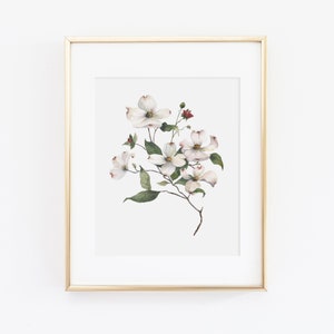 Dogwood Watercolor Print | Watercolor Dogwood Print Set | Watercolor Dogwood Painting | Dogwood Artwork | Watercolor Dogwood Kitchen Decor