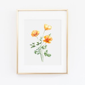 California Poppy Wall Art | Watercolor Poppy Painting | Poppy Floral Painting | Watercolor Floral Print | Floral Wall Art | Gift for Her