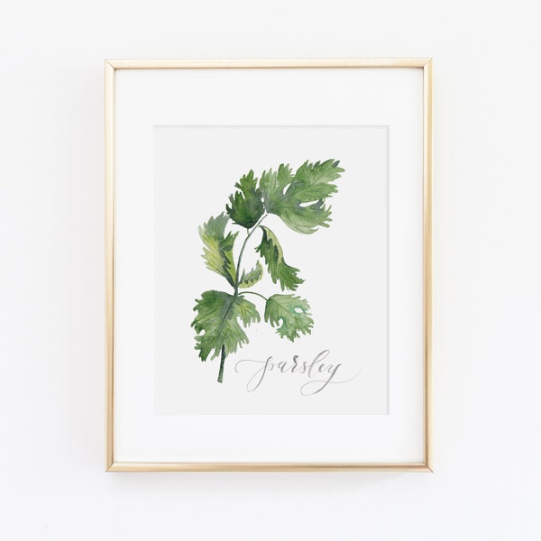 Parsley Herb Watercolor Print | Watercolor Herb Print Set | Watercolor Herb Painting | Parsley Artwork | Watercolor Herb Kitchen Decor