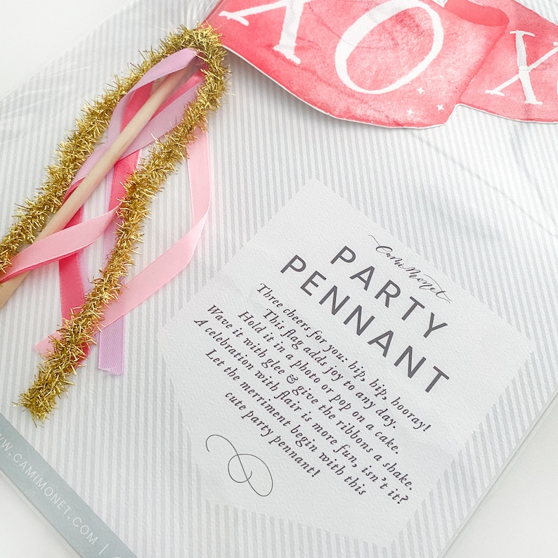Puede incluir: Una tarjeta blanca con el texto "Party Pennant" y una descripci&oacute;n de c&oacute;mo usar el bander&iacute;n. La tarjeta est&aacute; sobre un fondo a rayas con una cinta rosa y dorada.