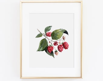 Raspberry Watercolor Print | Watercolor Berry Print Set | Watercolor Berry Painting | Raspberry Artwork | Watercolor Berry Kitchen Decor