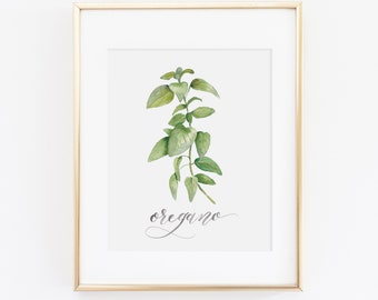 Oregano Herb Watercolor Print | Watercolor Herb Print Set | Watercolor Herb Painting | Oregano Artwork | Watercolor Herb Kitchen Decor