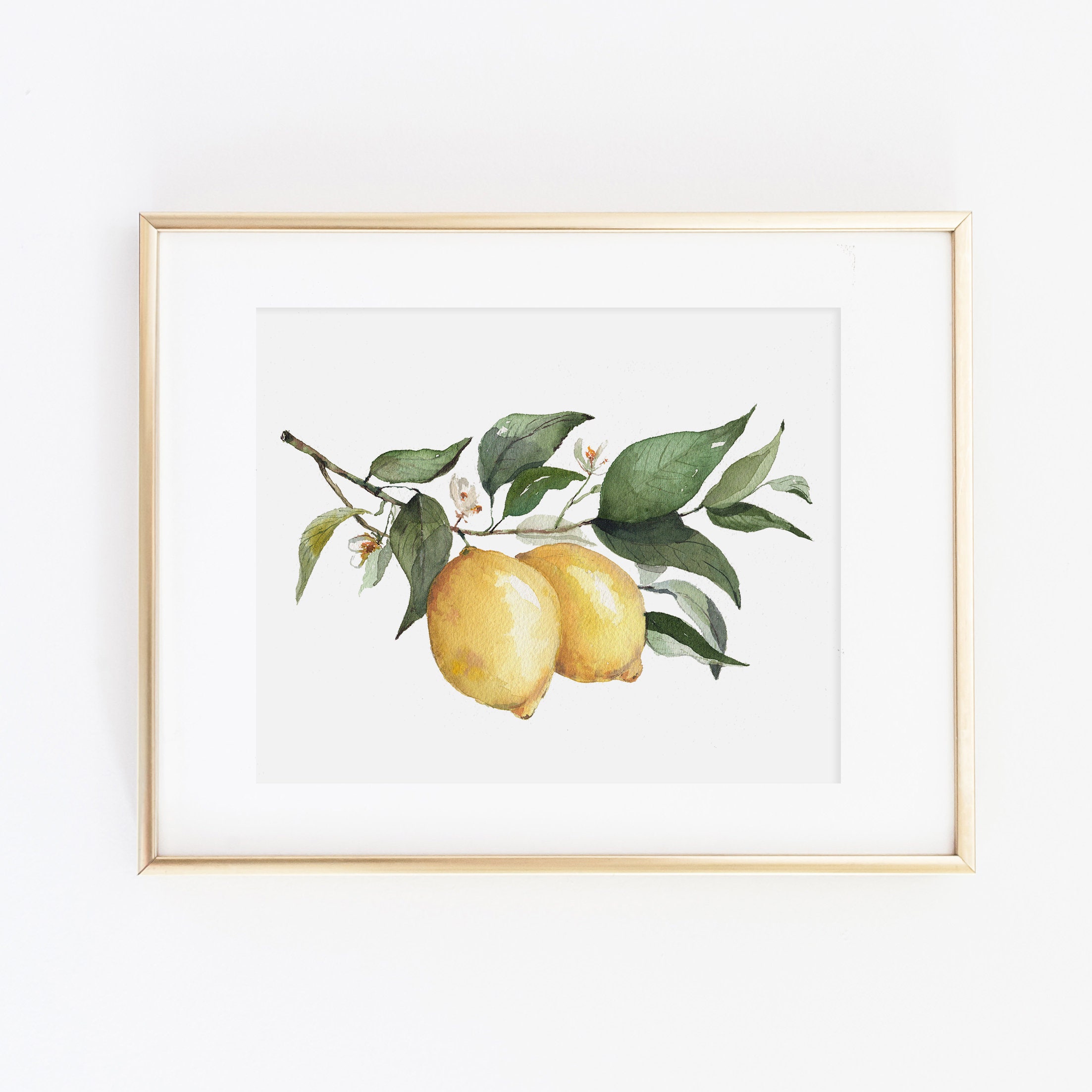 Lemon Watercolor Print | Watercolor Lemon Print Set | Watercolor Fruit Painting | Lemon Artwork | Watercolor Fruit Kitchen Decor