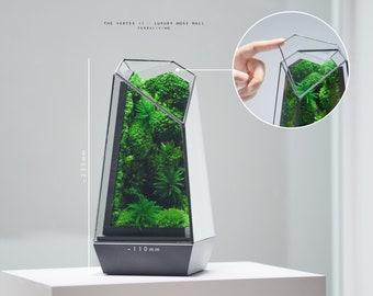 Preserved Moss Terrarium: The Vertex II (S) - Luxury Moss Wall, ZERO Moss Geometric Terrarium, Minimalist Desk Decor by TerraLiving