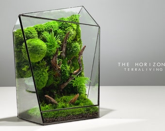Pre-order: The Horizon - Heart of Forest, ZERO Preserved Moss Terrarium, A botanical sculpture by TerraLiving