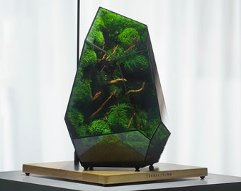 The Nova Heart of Forest, ZERO Preserved Moss Terrarium, Futuristic  Geometric Terrarium by Terraliving 