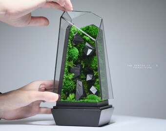 Preserved Moss Terrarium: The Vertex II - R, ZERO Moss Terrarium with 3D printed sculptures, Minimalist & Elegant Desk Decor by TerraLiving