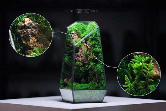 Artificial Moss Stone Preserved Moss Flower Fairy Garden DIY Decor  Miniatures Bonsai Terrarium Moss Home Shop