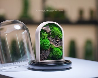 Preserved Moss Terrarium: The Memento M (Moss Memento) with wooden 3D printed structure, Modern Desk Decor by TerraLiving