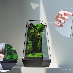Puede incluir: Un terrario geométrico negro con un frente de vidrio y una base negra. El terrario está lleno de musgo verde y plantas. El terrario está sobre una superficie blanca. El texto "THE VERTEX - NATURAL MOSS WALL" es visible en la parte inferior de la imagen.
