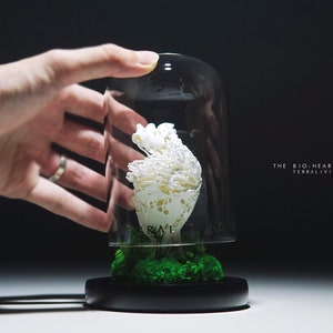 Preserved Moss Terrarium: The Bio-Heart, Biomorphism Sculptural Organic Structure ZERO Moss Terrarium, Minimalist Desk Decor by TerraLiving
