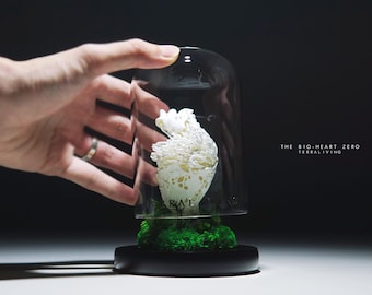 Preserved Moss Terrarium: The Bio-Heart, Biomorphism Sculptural Organic Structure ZERO Moss Terrarium, Minimalist Desk Decor by TerraLiving