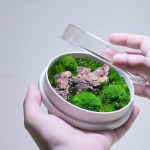 Preserved Moss Terrarium: The Moss Core - L, ZERO Moss Terrarium, 3D Printed Minimalist Laboratory Inspired Desk Decor by TerraLiving