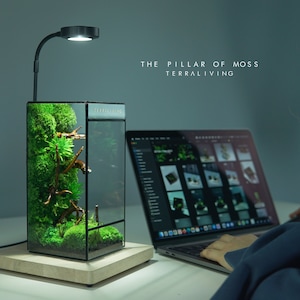 Preserved Moss Terrarium: The Pillar of Moss, a ZERO Moss Geometric Terrarium, Minimalist Desk Decor by TerraLiving