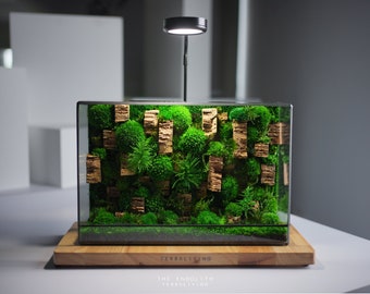 Preserved Moss Terrarium: The Endolith - Desktop Moss Wall (L), a ZERO Moss Terrarium, Botanical Sculpture, Modern Desk Decor by TerraLiving