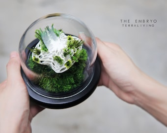 Preserved Moss Terrarium: The "Life Forms - Embryo", 3D Printed Biomorphic collection, Modern Desk Decor by TerraLiving