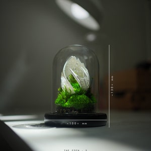 Preserved Moss Terrarium: The Life Forms Eden, Biomorphic Sculptural Organic Structure ZERO Moss Terrarium by TerraLiving NO Terralight